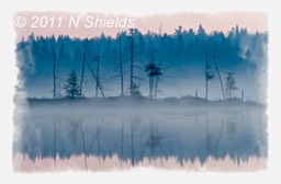 © 2011 NShields Reflected Conversation