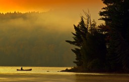 © M Littlewood Morning Canoeist in the Mist at Two Rivers in Algonquin Park (18x14)