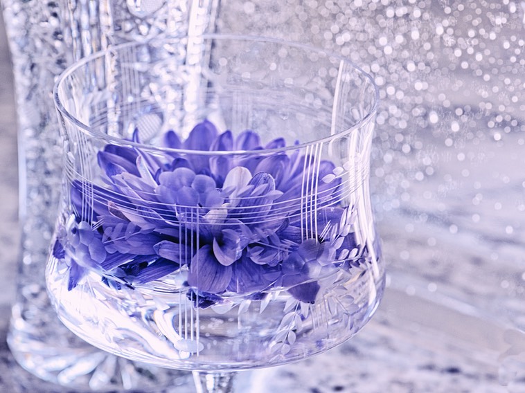 © N Shields Purple Blossom in GlassSM