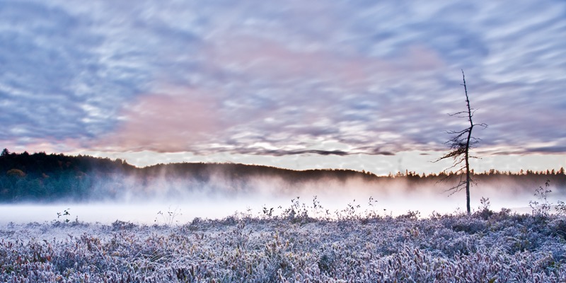 Depot Lake Frosty Mist Sunrise © M Littlewood